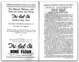 1953 Page 006 007